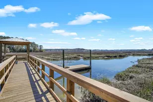 313 Danner Dr, Okatie, SC 29909 - Photo 68