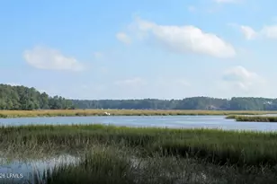 313 Danner Dr, Okatie, SC 29909 - Photo 72