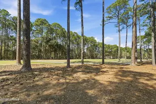 13 Lenora Dr, Hilton Head, SC 29926 - Photo 40
