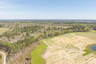 162 Dove St, Ridgeland, SC 29936 - Photo 44