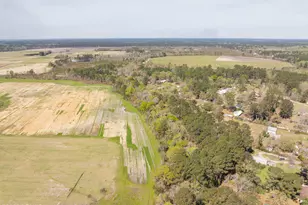 162 Dove St, Ridgeland, SC 29936 - Photo 50