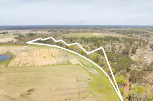 162 Dove St, Ridgeland, SC 29936 - Photo 38