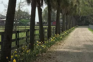 50 Long Point Dr, Beaufort, SC 29907 - Photo 2