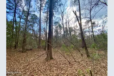 3 Blake Lane, Seabrook, SC 29940 - Photo 12