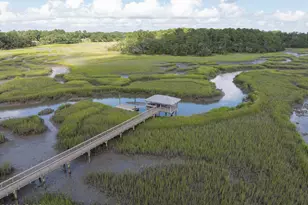 2947 Needlegrass Dr, Beaufort, SC 29902 - Photo 50