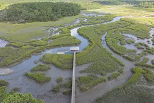 2947 Needlegrass Dr, Beaufort, SC 29902 - Photo 48