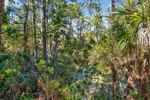15 Pine Burr Rd E, Hilton Head Island, SC 29926 - Photo 60