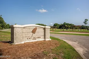 25 Timber Trail, Beaufort, SC 29907 - Photo 80