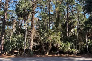 716 Marlin Dr, Ladys Island, SC 29920 - Photo 1