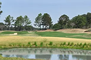 1118 Riverton Pointe Blvd, Hardeeville, SC 29927 - Photo 44