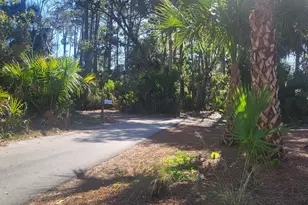 26 Lakeview Ln, Saint Helena Island, SC 29920 - Photo 1