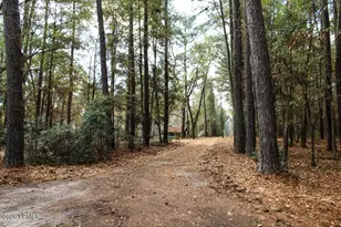 75 Ihly Farm Rd, Beaufort, SC 29906 - Photo 8