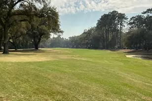 754 Island Cir E, Saint Helena Island, SC 29920 - Photo 44