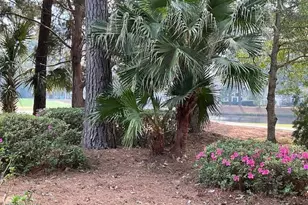 754 Island Cir E, Saint Helena Island, SC 29920 - Photo 46