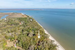 8 Saltwind Dr, Saint Helena Island, SC 29920 - Photo 54