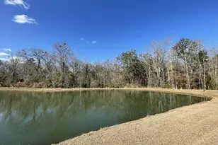 126 Minning Loop, Richmond Hill, GA 31324 - Photo 30