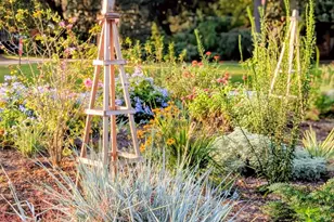 989 Dowlingwood Dr, Beaufort, SC 29902 - Photo 36