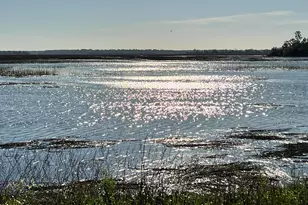 535 Broad River Rd, Ridgeland, SC 29936 - Photo 58