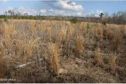 1100 Charleston Highway, Hampton, SC 29924 - Photo 6