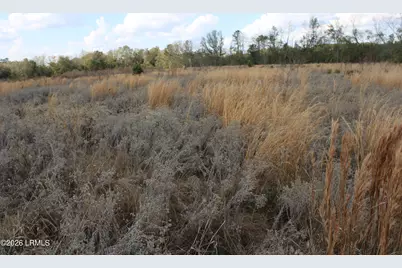 1100 Charleston Highway, Hampton, SC 29924 - Photo 10