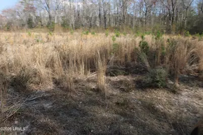 1100 Charleston Highway, Hampton, SC 29924 - Photo 8