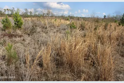 1100 Charleston Highway, Hampton, SC 29924 - Photo 4