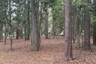 417 Battery Chase, Beaufort, SC 29902 - Photo 1