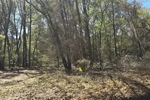 50 Toomer Rd, Saint Helena Island, SC 29920 - Photo 1