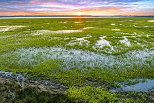 150 Cassique Creek Dr, Ridgeland, SC 29936 - Photo 2