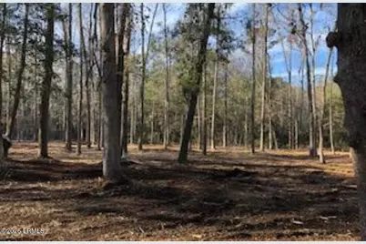 52 Arbor Victory Road, Beaufort, SC 29907 - Photo 8