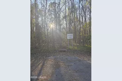 Lot 12 Freeman Street, Brunson, SC 29911 - Photo 8