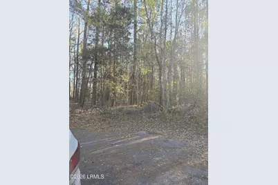 Lot 12 Freeman Street, Brunson, SC 29911 - Photo 4