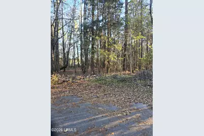 Lot 12 Freeman Street, Brunson, SC 29911 - Photo 6