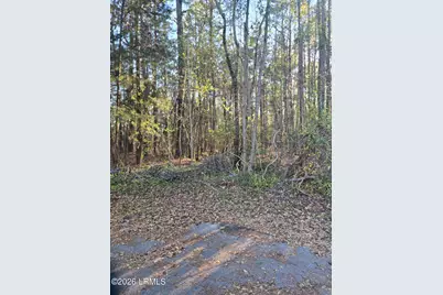 Lot 12 Freeman Street, Brunson, SC 29911 - Photo 2
