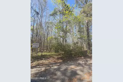 Lot 5 Freeman Street, Hampton, SC 29924 - Photo 2