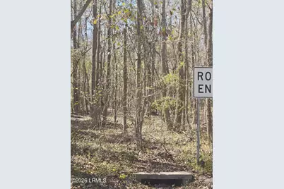 Lot 5 Freeman Street, Hampton, SC 29924 - Photo 4