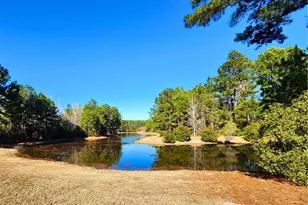 184 Twickenham Loop, Yemassee, SC 29945 - Photo 52