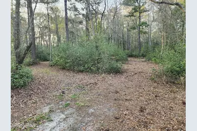 1504 Lowndes Lake Road, Varnville, SC 29944 - Photo 38