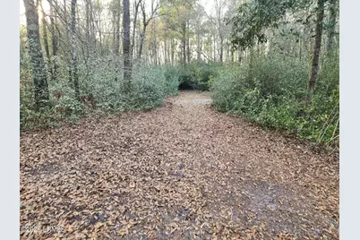 1504 Lowndes Lake Road, Varnville, SC 29944 - Photo 30