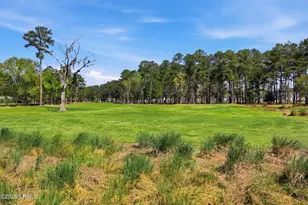 276 Persimmon Cir, Hardeeville, SC 29927 - Photo 58