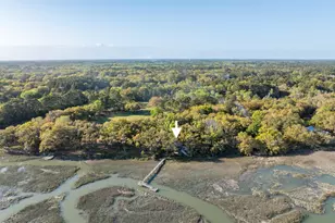 74 Blazing Star Ln, Saint Helena Island, SC 29920 - Photo 44