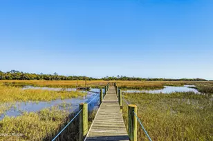 74 Blazing Star Ln, Saint Helena Island, SC 29920 - Photo 34