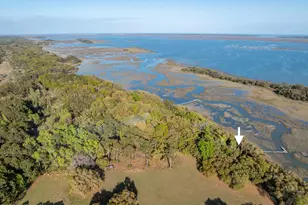 74 Blazing Star Ln, Saint Helena Island, SC 29920 - Photo 46