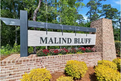 435 Malind Bluff Drive, Okatie, SC 29909 - Photo 56