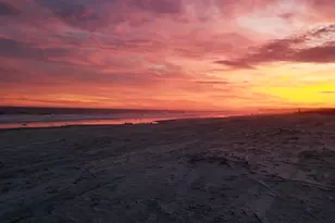 43 S Forest Beach Dr, Hilton Head, SC 29928 - Photo 4