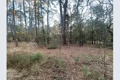 Tbd Harris Lane, Saint Helena Island, SC 29920 - Photo 2