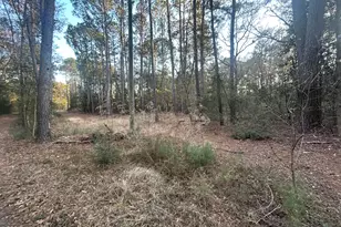 Tbd Harris Ln, Saint Helena Island, SC 29920 - Photo 1