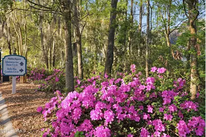 387 Dante Circle, Beaufort, SC 29906 - Photo 34