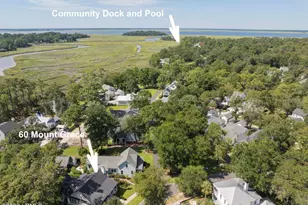 60 Mt Grace, Beaufort, SC 29906 - Photo 44