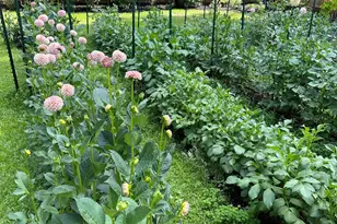 33 White Heron Dr, Beaufort, SC 29907 - Photo 48